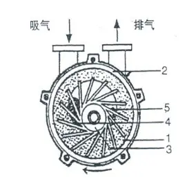 2BV水环AmyTelecom机场